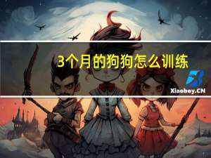 3个月的狗狗怎么训练