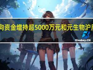3只科创板股获北向资金增持超5000万元和元生物沪股通持股量环比增加247.75万股居首