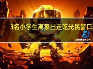 3名小学生离家出走吃光民警口粮