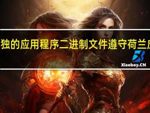 3月1日 单独的应用程序二进制文件遵守荷兰应用程序支付法