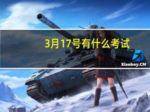3月17号有什么考试
