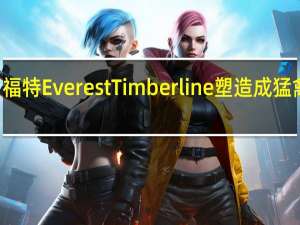 3月2日福特EverestTimberline塑造成猛禽式SUV英雄