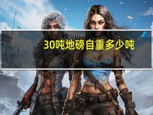 30吨地磅自重多少吨