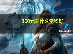 300元养什么宠物好
