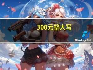 300元整大写（300元大写）