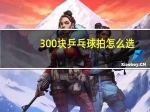 300块乒乓球拍怎么选