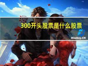 300开头股票是什么股票