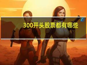300开头股票都有哪些