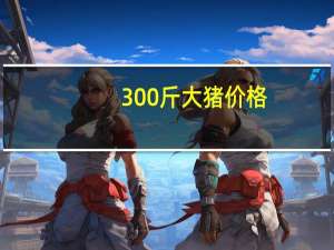 300斤大猪价格（300w电源）
