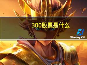 300股票是什么