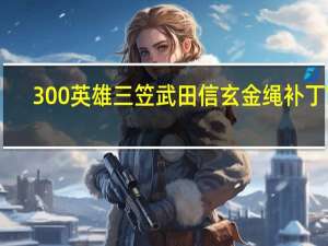 300英雄三笠武田信玄金绳补丁 V1.0 免费版（300英雄三笠武田信玄金绳补丁 V1.0 免费版功能简介）