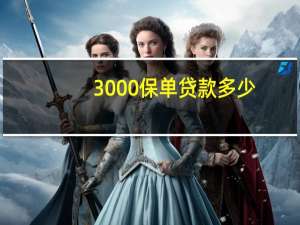 3000保单贷款多少