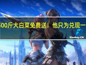 3000斤红薯、2500斤大白菜免费送！他只为兑现一个承诺 到底什么情况嘞