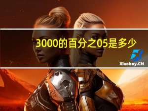 3000的百分之05是多少