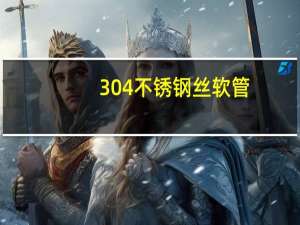 304不锈钢丝软管（304不锈钢丝）