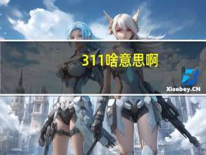 311啥意思啊