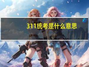 311统考是什么意思
