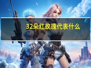 32朵红玫瑰代表什么