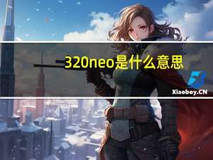 320neo是什么意思（neo是什么意思）
