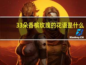 33朵香槟玫瑰的花语是什么