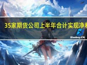 35家期货公司上半年合计实现净利16.21亿元仅7家跻身“亿元俱乐部”