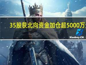 35股获北向资金加仓超5000万元