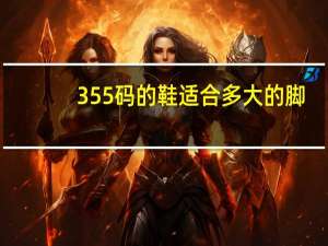 355码的鞋适合多大的脚