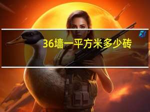 36墙一平方米多少砖