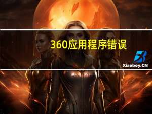 360应用程序错误