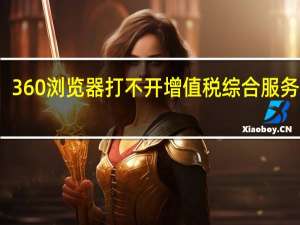 360浏览器打不开增值税综合服务平台（360浏览器打不开）