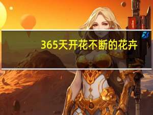 365天开花不断的花卉（一年四季开花的花卉有哪些）