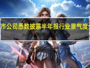 37家钢铁上市公司悉数披露半年报 行业景气度全面回升仍需过程