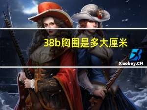 38b胸围是多大厘米