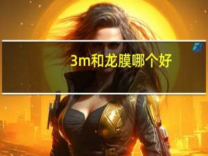3m和龙膜哪个好