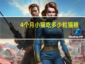 4个月小猫吃多少粒猫粮