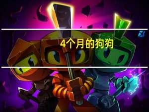 4个月的狗狗