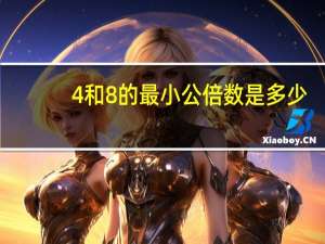 4和8的最小公倍数是多少
