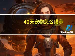 40天宠物怎么喂养