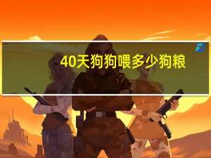 40天狗狗喂多少狗粮