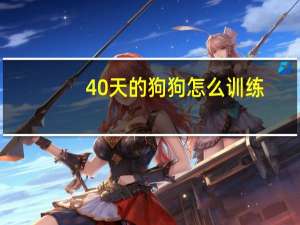 40天的狗狗怎么训练