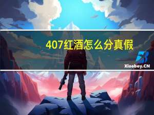 407红酒怎么分真假（407红酒）