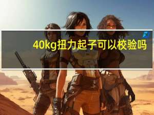 40kg扭力起子可以校验吗