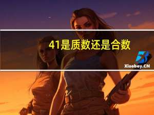 41是质数还是合数