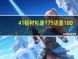 41码衬衫是175还是180
