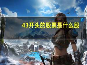 43开头的股票是什么股