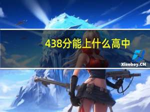 438分能上什么高中