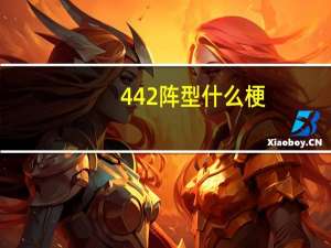 442阵型什么梗