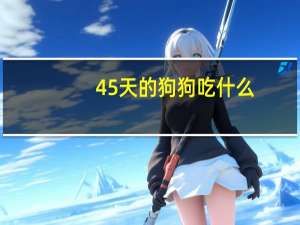 45天的狗狗吃什么