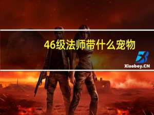 46级法师带什么宠物