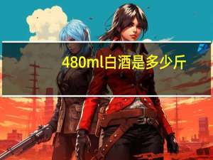 480ml白酒是多少斤